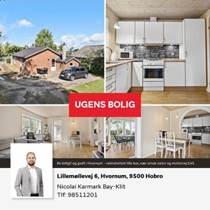 opslagsbillede