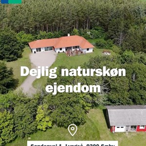 Opslagsbillede