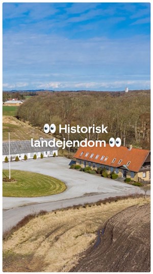 opslagsbillede