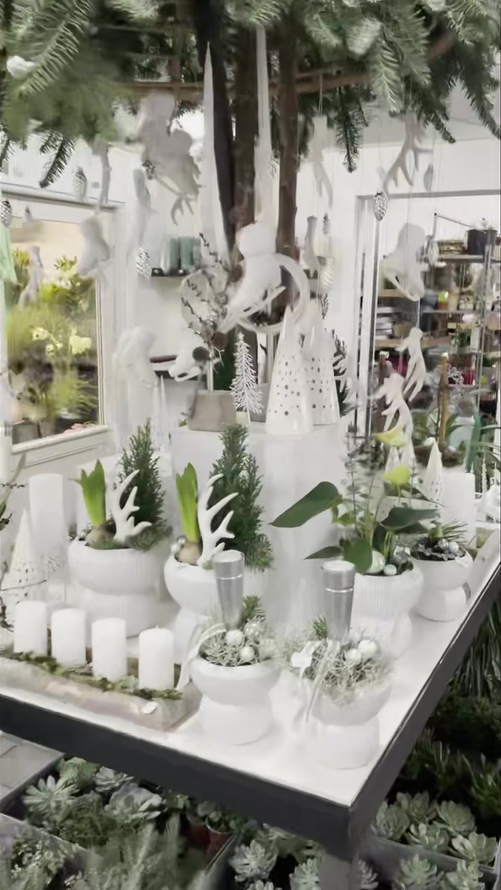 En finger på pulsen i Roslev