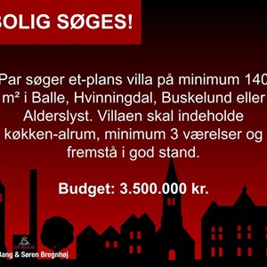 Opslagsbillede