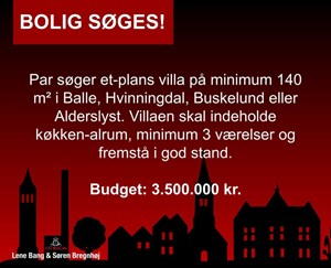 opslagsbillede