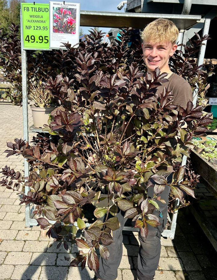 Opslagstavlen: Nyeste opdateringer fra Sæby