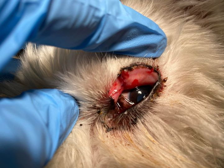 Det nyeste på Hernings opslagstavle