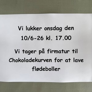 opslagsbillede