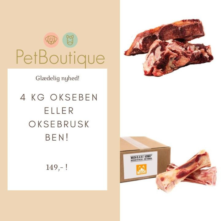 Opdatér dig her: Det nyeste fra Vejle