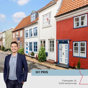 Opslagsbillede