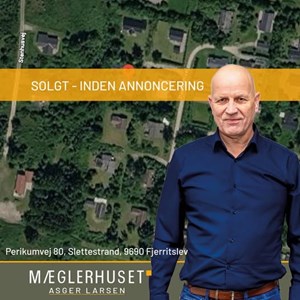 opslagsbillede