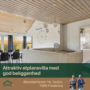 opslagsbillede