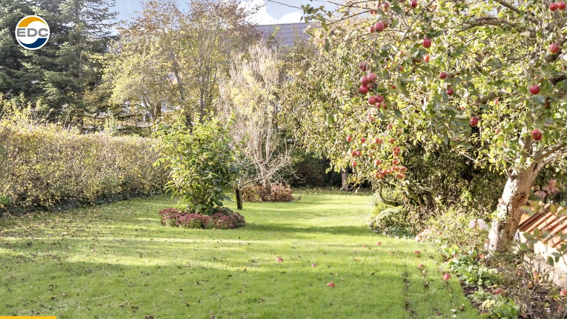 Nyt fra EDC Ejen­doms­grup­pen Struer