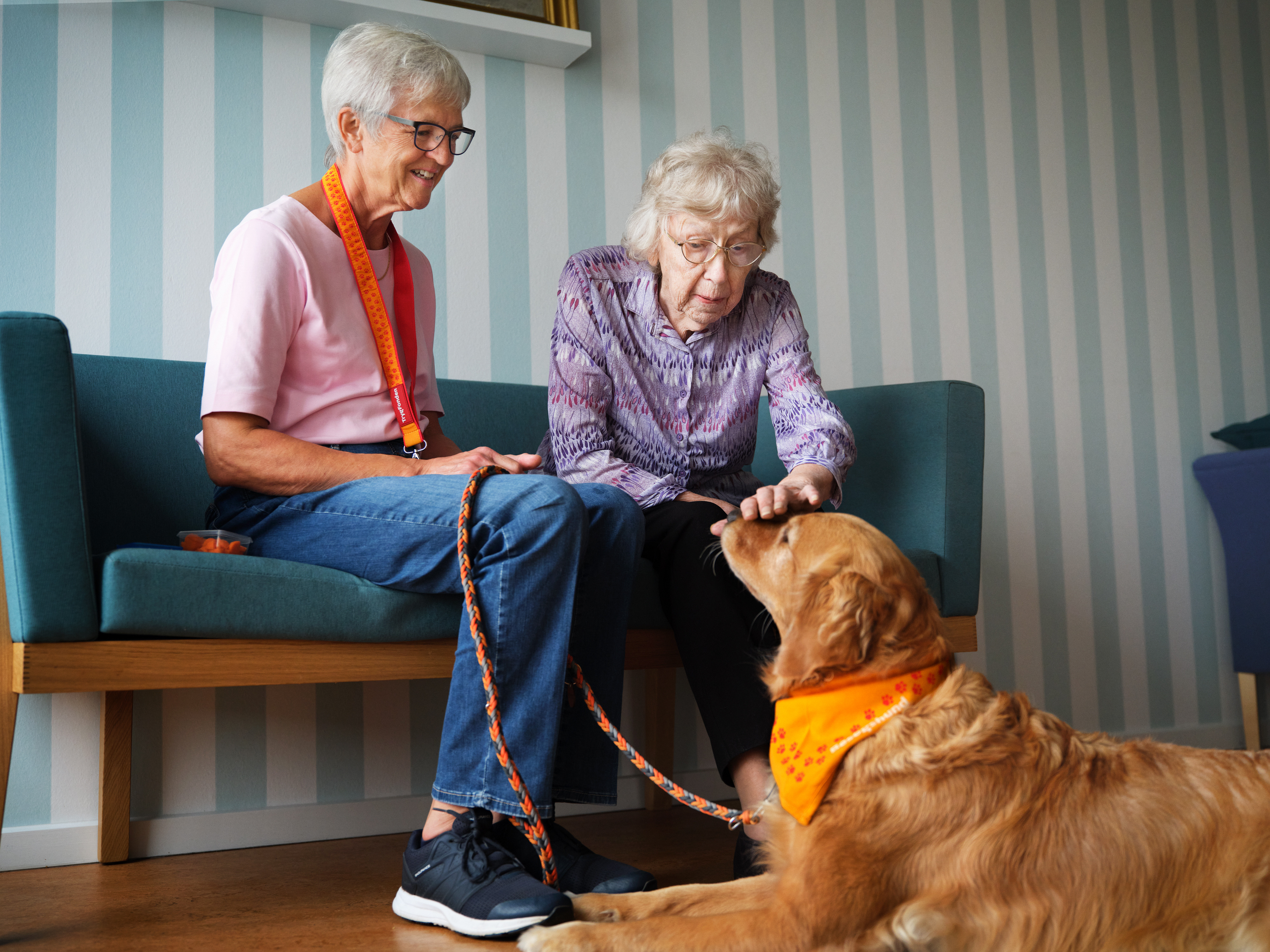 TrygFonden afholder optagelsesprøve for nye besøgshunde i Brønderslev