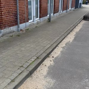 Opslagsbillede