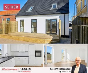 opslagsbillede