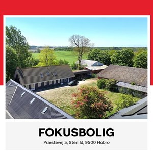 Opslagsbillede