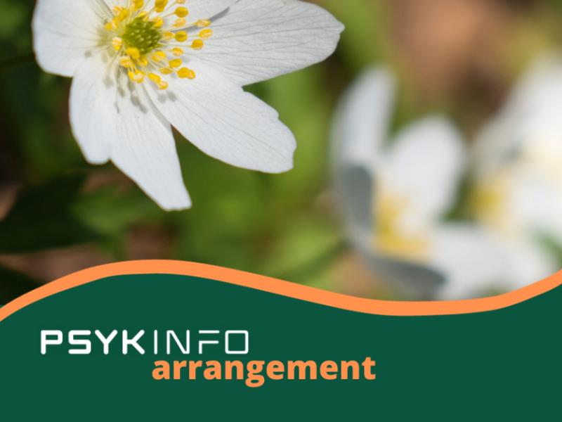 Begivenhedsrige dage på Nakskov Bibliotek