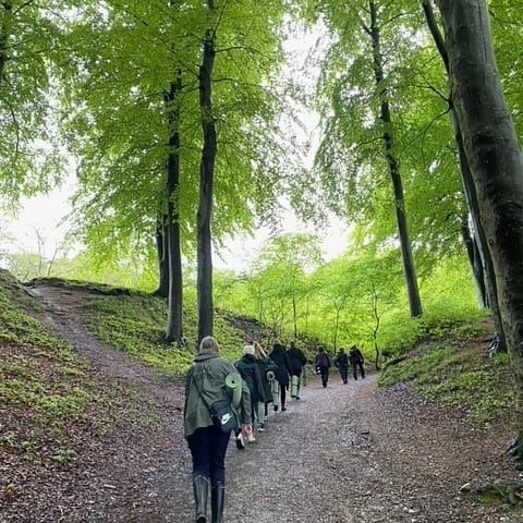 Hold trit med lokalområdet: Nyt fra Hammel