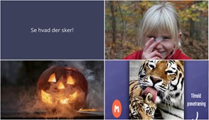 Weekend i Helsinge: Naturfærdigheder, Halloween og Familiekarate