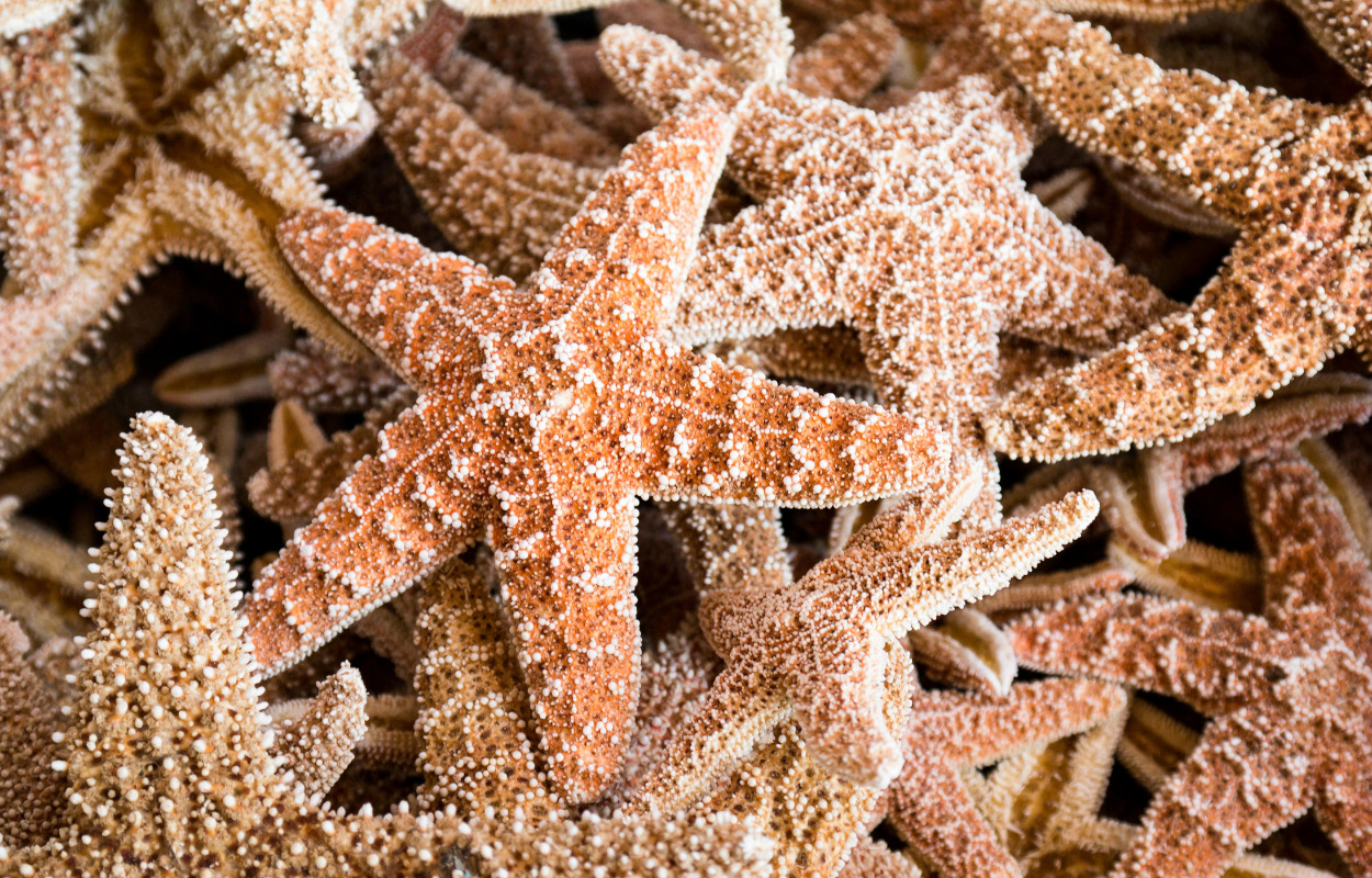 Lugtgener i Skive forsøges begrænset