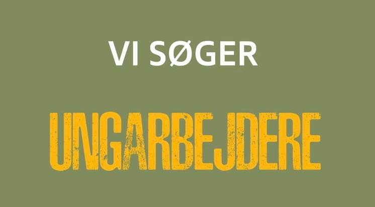 Opslagstavlen: Nyeste opdateringer fra Kolding