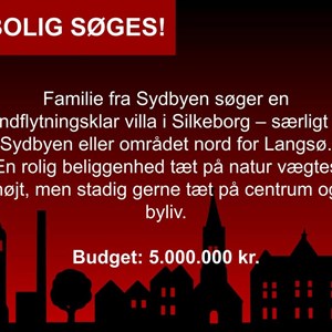 Opslagsbillede