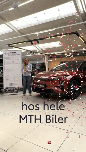 opslagsbillede