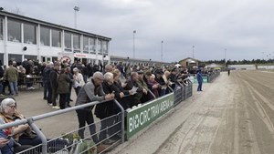 Nyd det sidste af sommeren på BioCirc Trav Arena Skive: En aften fyldt med spænding