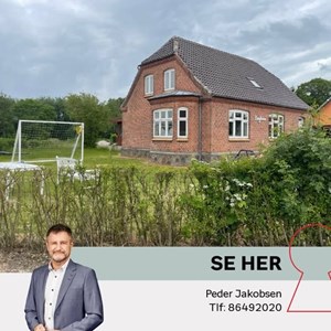 Opslagsbillede