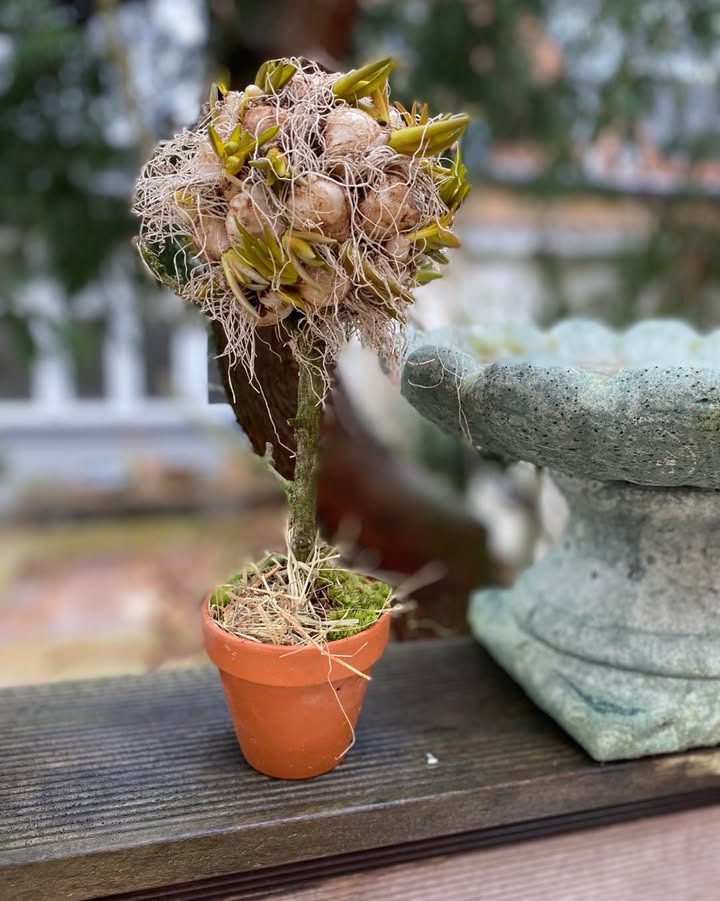 Nyt kursus fra Florist Pernille DB: Lær om forårsløg i marts