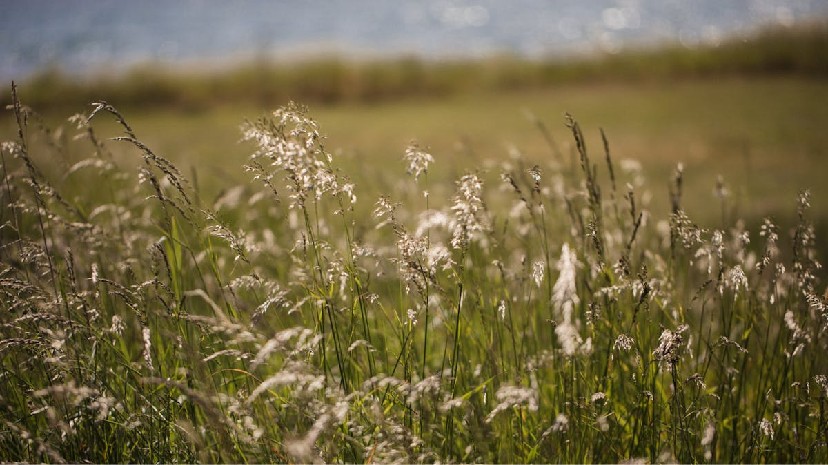 Jordforbedring og netværk: Oplæg med Hanne Gundersen i Ebeltoft
