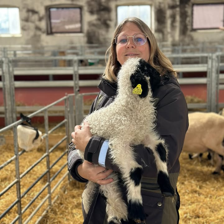 Ny elektrisk teleskoplaster løfter Askö Gård til nye højder