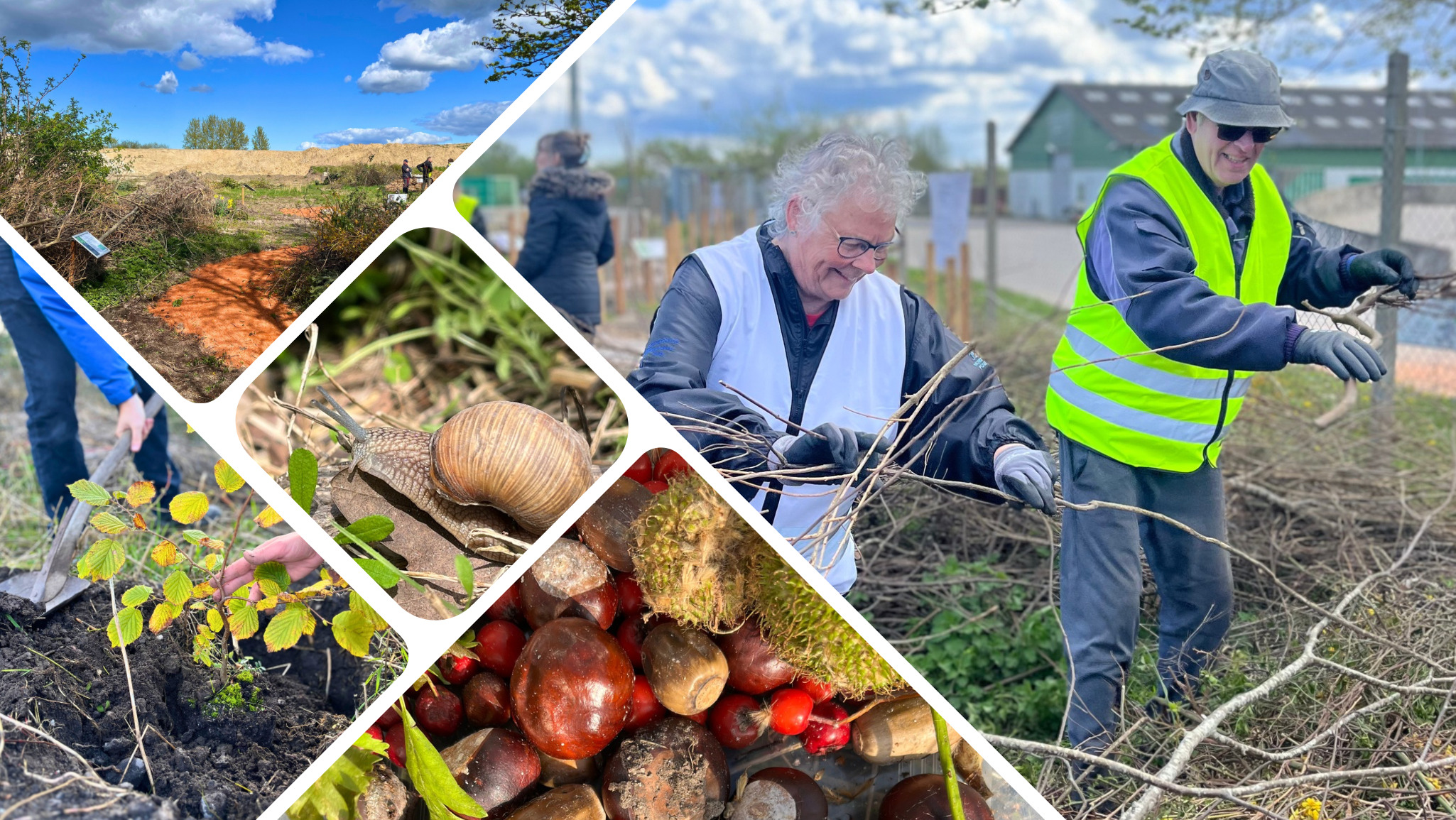 Genbesøg på GenGRO: NaturplejerKorpset vender tilbage