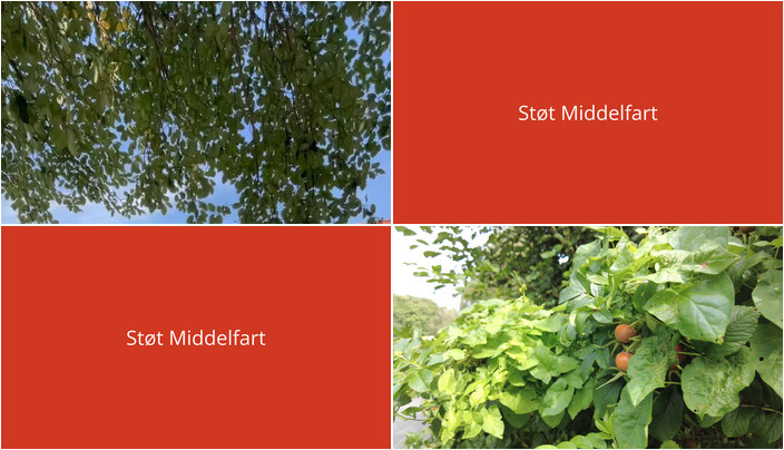 Nyt fra Ejendomsmægler Mike Andersen og RealMæglerne Middelfart