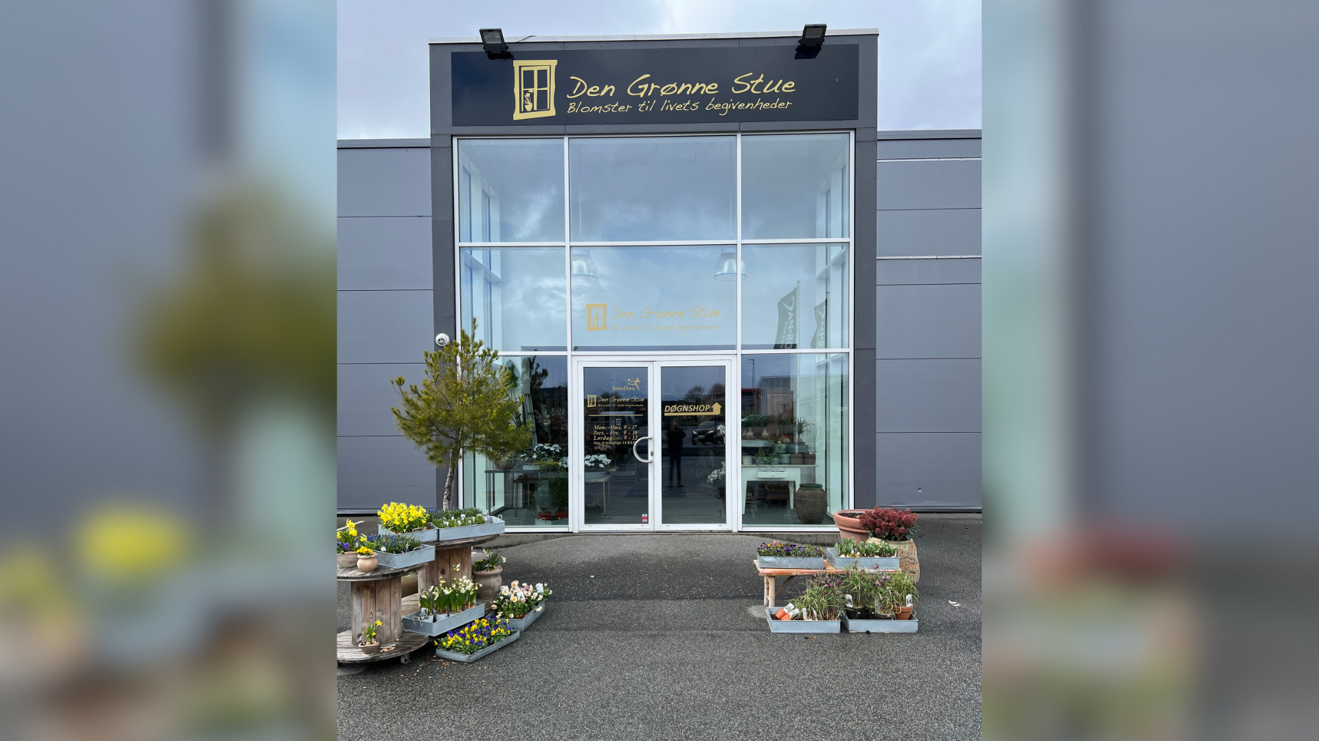 Lars har stået i spidsen for Den Grønne Stue i 13 år – nu blomstrer butikken op til påske