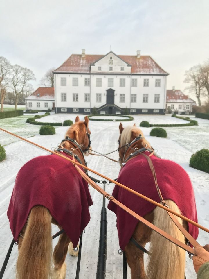 Julestemning og juletræssalg på Stensballegaard Julemarked