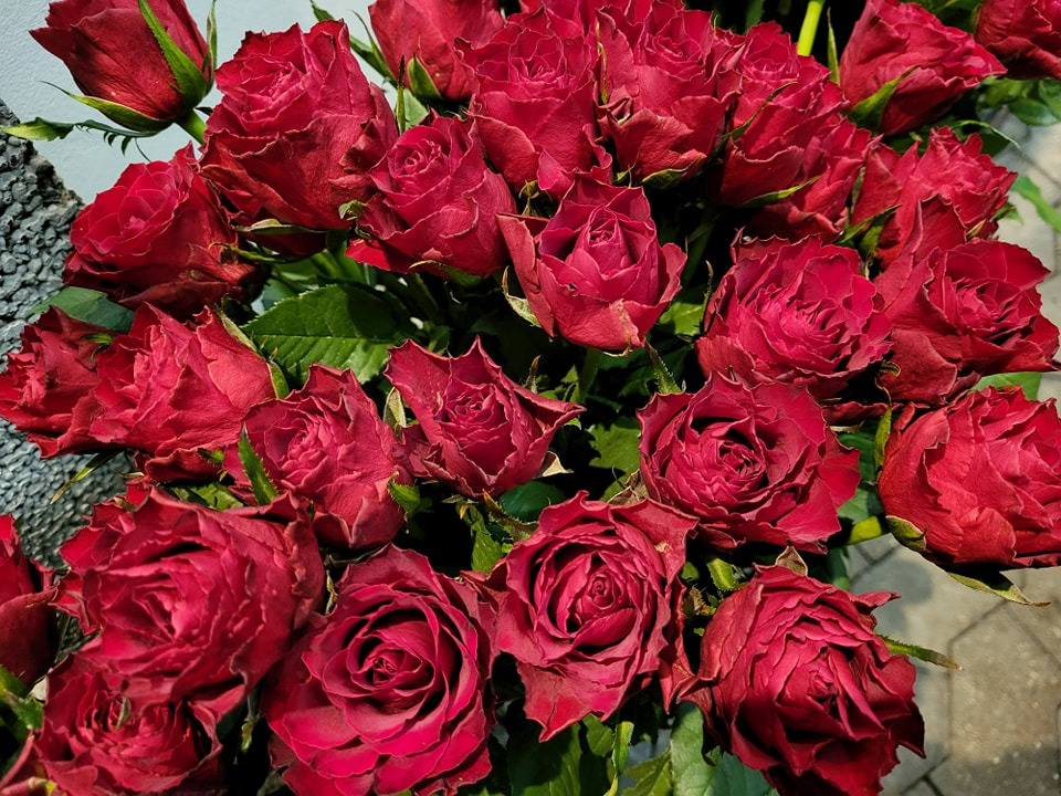 Asmild Plantecenter ApS lancerer Valentinskonkurrence med chance for at vinde en buket