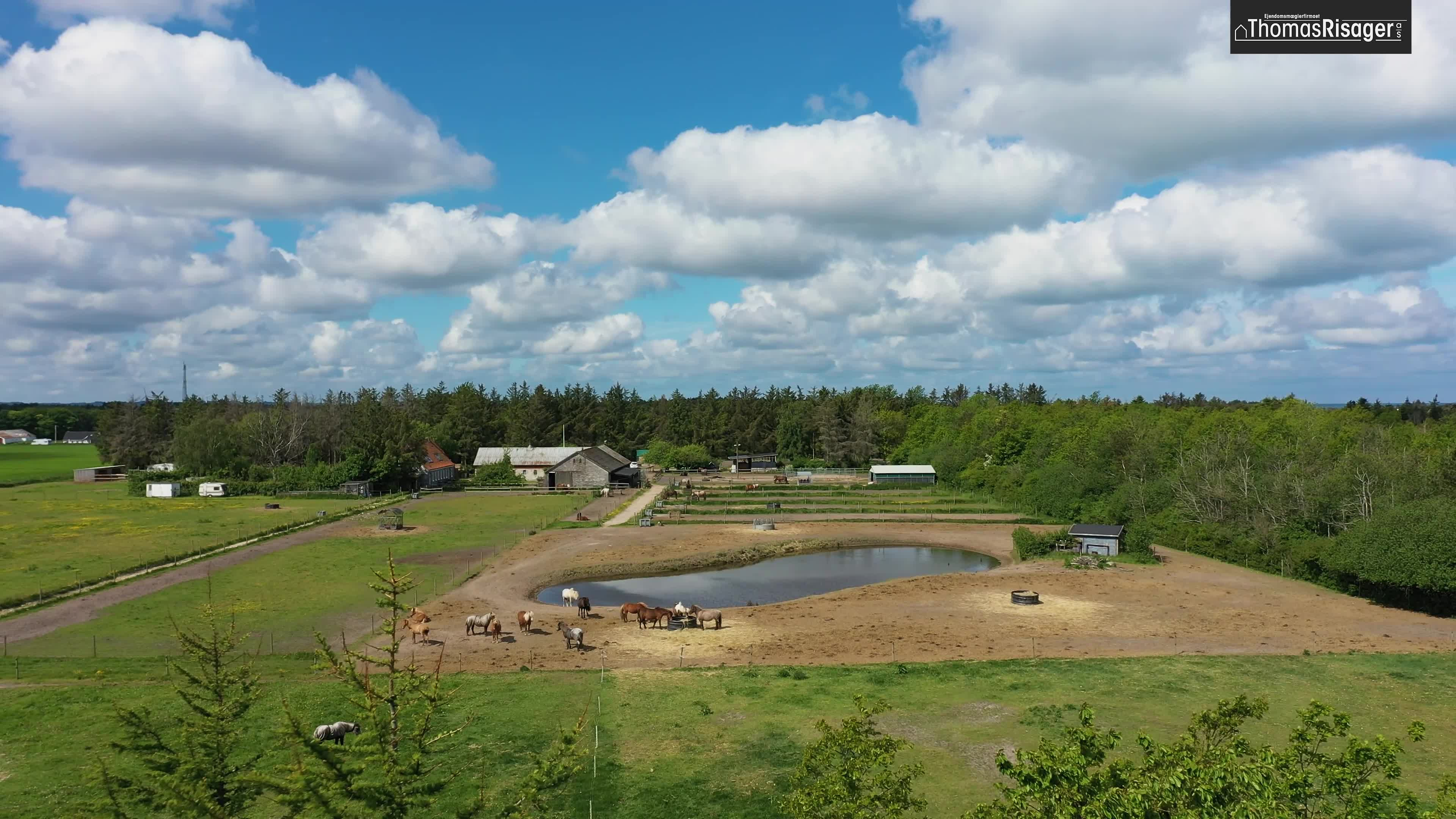 Opslagstavlen: Nyeste opdateringer fra Hjørring