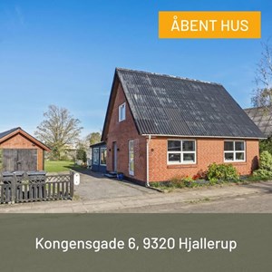 Opslagsbillede