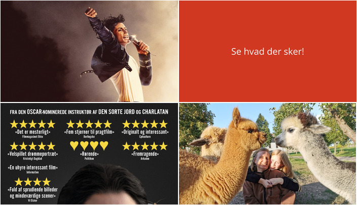 Weekend i Ringsted: Filmkunst og alpaca-hygge