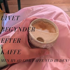 opslagsbillede