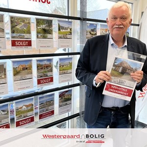 Opslagsbillede