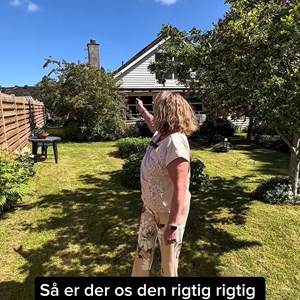 Opslagsbillede