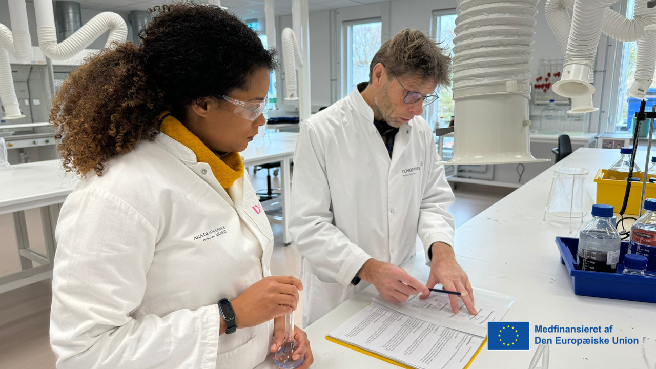 Oplev ingeniørverdenen på Professionshøjskolen Absalon i Kalundborg