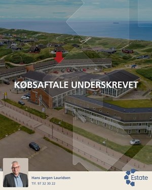 opslagsbillede