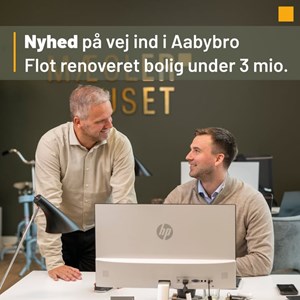 opslagsbillede
