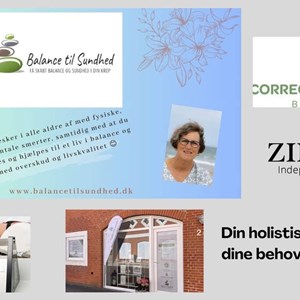 Opslagsbillede