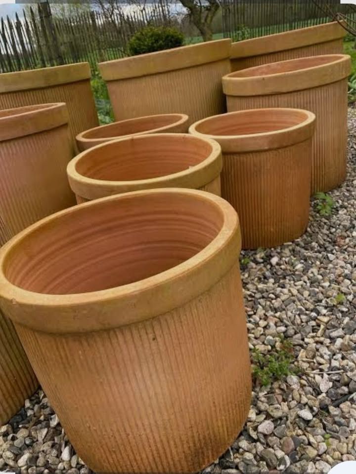 Asmild Plantecenter ApS giver råd til klargøring af krukker til vinteren