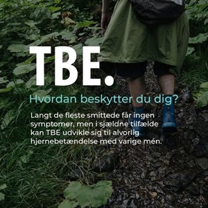 opslagsbillede