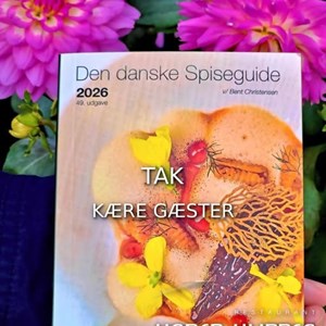 Opslagsbillede
