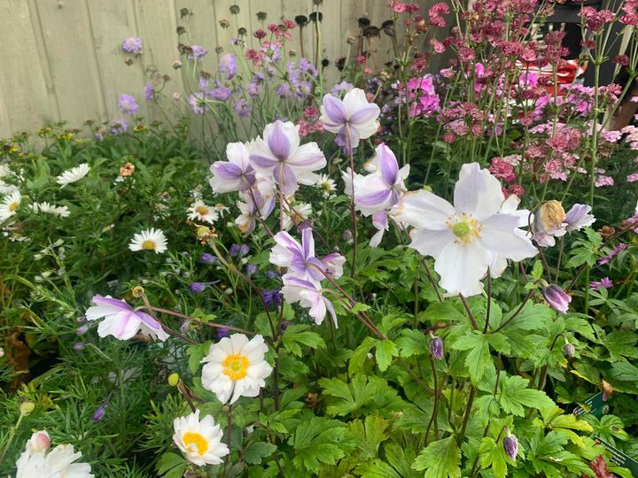 En finger på pulsen i Brønderslev