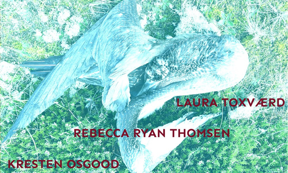 Oplev improvisationens kunst med Kresten Osgood Trio i Ebeltoft